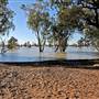 Menindee