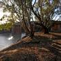 Menindee