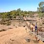 Menindee