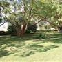 Saumarez Homestead - Armidale