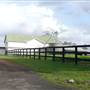 Lomar Park Stud