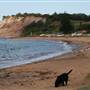 Long Reef Point