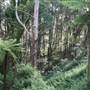 Macquarie Pass National Park