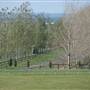 Malniri Park Stud