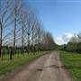 Malniri Park Stud