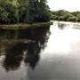 Marshall River - Wollongong