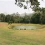 Mavis's Kitchen & Cabins - Mount Warning