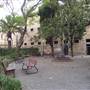 National Art School