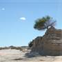 Mungo National Park