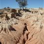 Mungo National Park