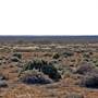 Mungo National Park