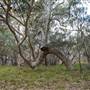 Murramarang National Park