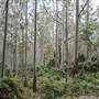 Murramarang National Park