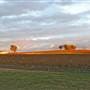 Mudgee Area Vineyards