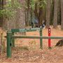 Olney State Forest