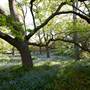 Milton Park Country House Hotel & Spa