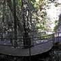 Minnamurra Falls