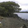 Minnamurra River