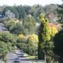 Mittagong - Southern Highlands