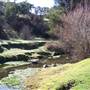 Molong