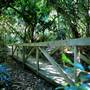 Mount Keira Scout Camp File 1