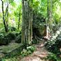 Mount Keira Scout Camp File 1