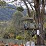 Mount Kembla
