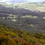 Mt Blackheath Lookout