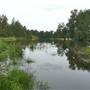 Navua Reserve - Grose River