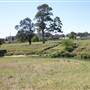 Riverstone Farmland & Eastern Creek