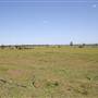 Riverstone Farmland & Eastern Creek