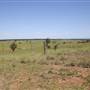 Riverstone Farmland & Eastern Creek