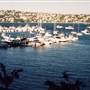 Rose Bay
