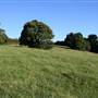 Rolling Hills - Southern Highlands