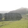 Rolling Hills - Southern Highlands