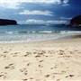 Royal National Park