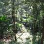 Royal National Park