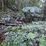 Royal National Park