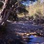 Port Macquarie Area