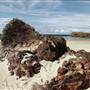 Port Macquarie Area