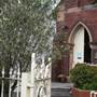 Rozelle Neighbourhood Centre