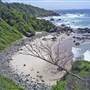 Port Macquarie Beaches