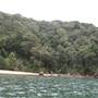 Portuguese Beach