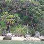 Portuguese Beach