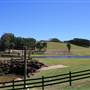 Plantations - Friday Hut Road
