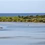 Sawtell