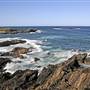 Sawtell