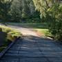 Pretty Gully