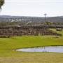 Walcha