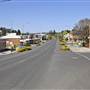 Walcha